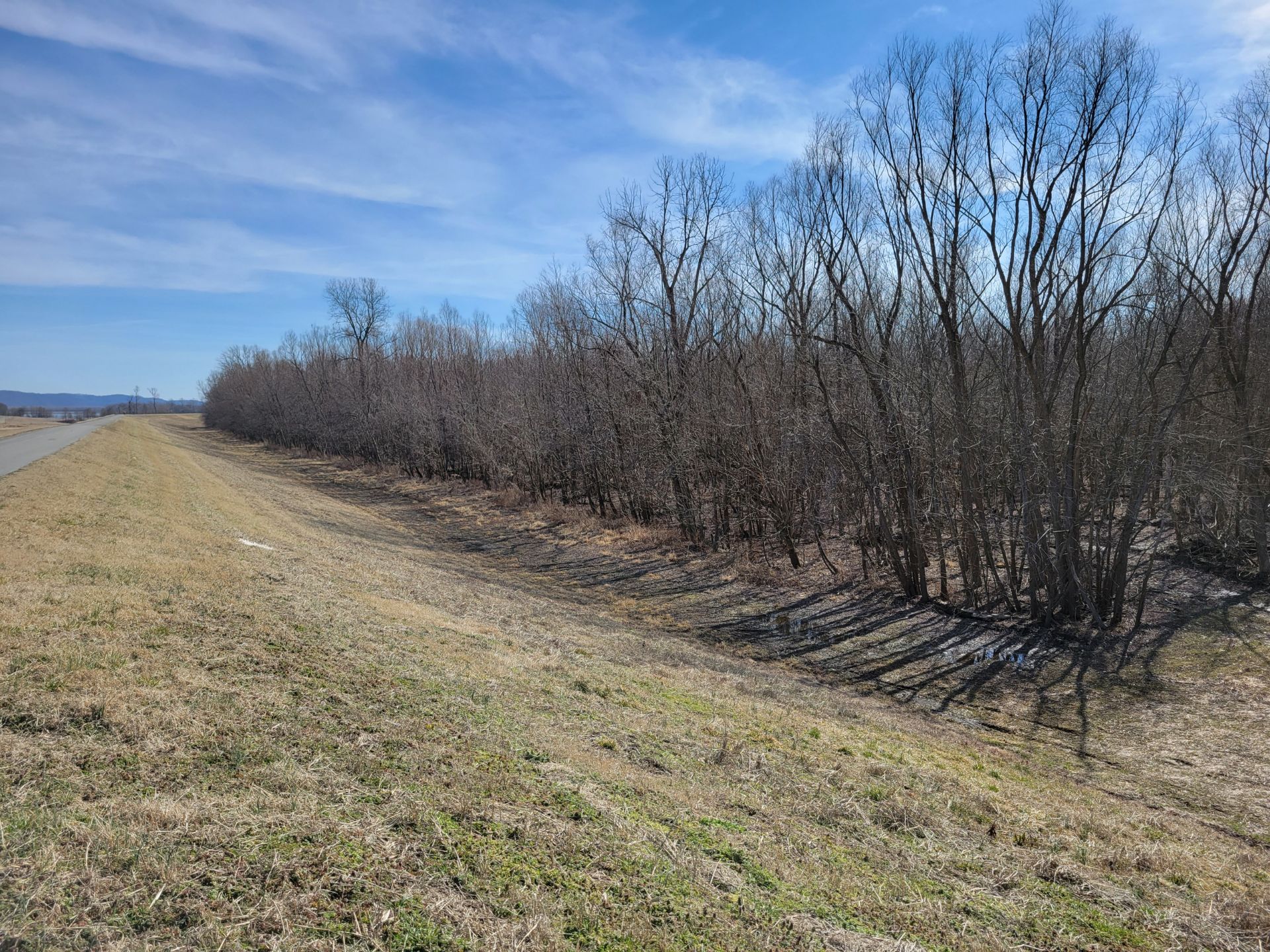 000 Island Road Grand Tower, IL 62942 Midwest Farm and Land Co.