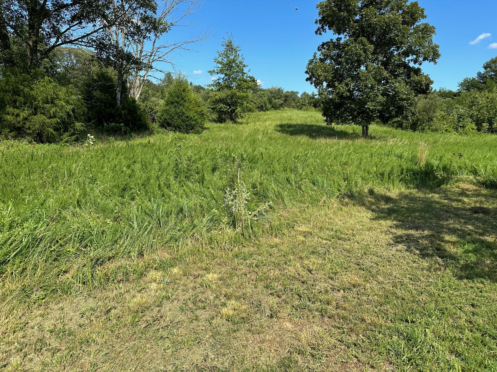 000 Ten Mile Road Macedonia, IL 62860 Midwest Farm and Land Co.