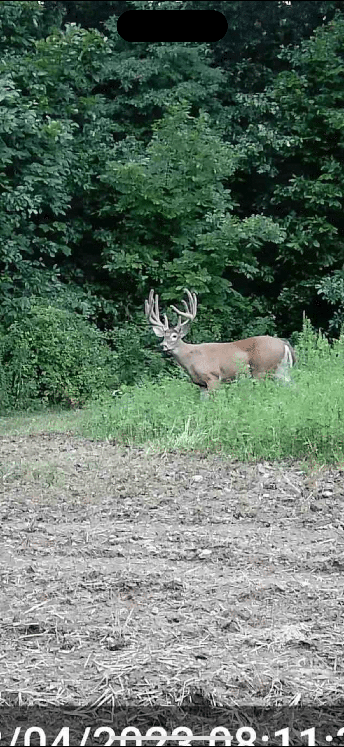 1967 STRINGTOWN Road Sorento, IL 62086 Midwest Farm and Land Co.