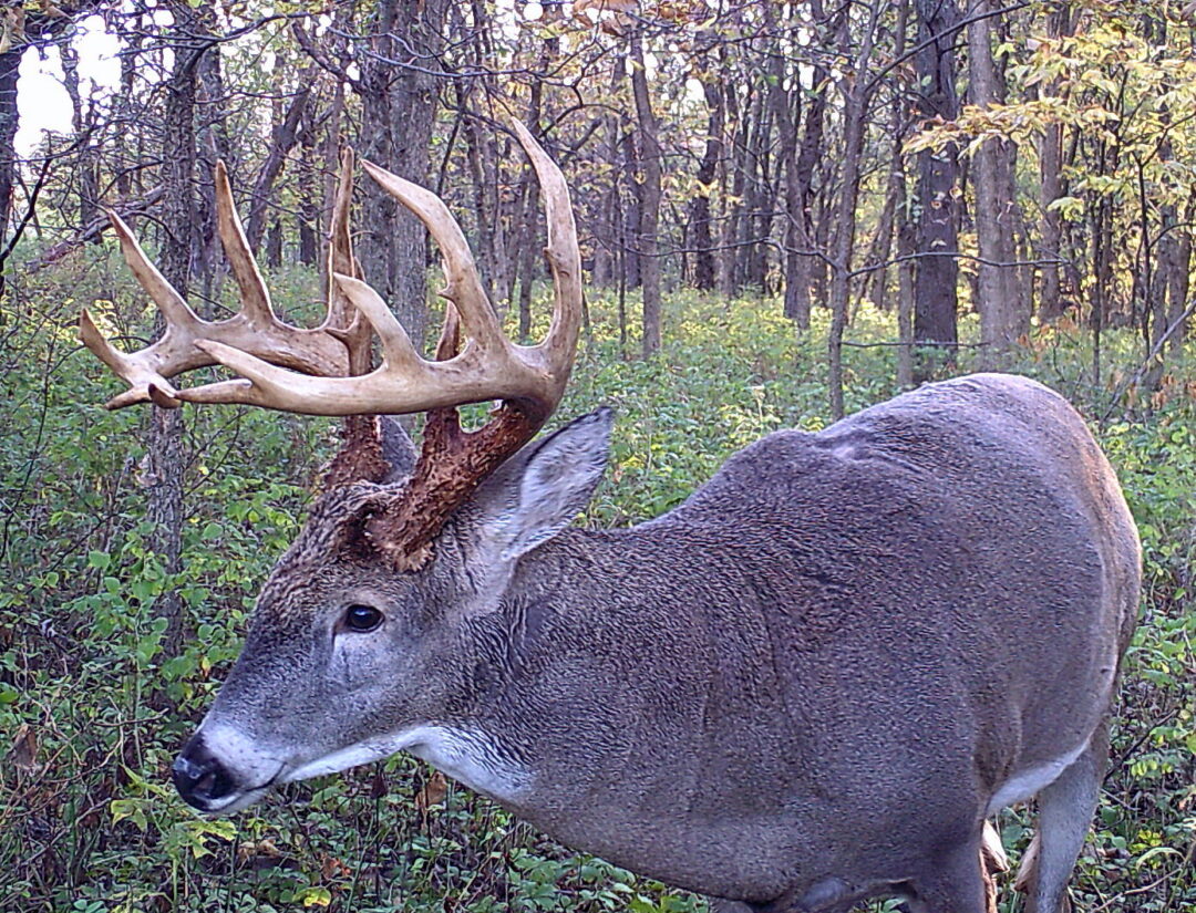 October 25, 2021 Update MidAmerica Hunting Association