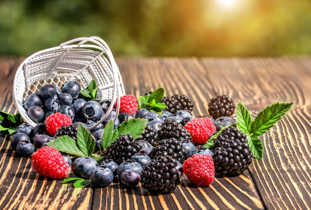 Foods That Help Boost Kidney Function Midwest Nephrology Consultants