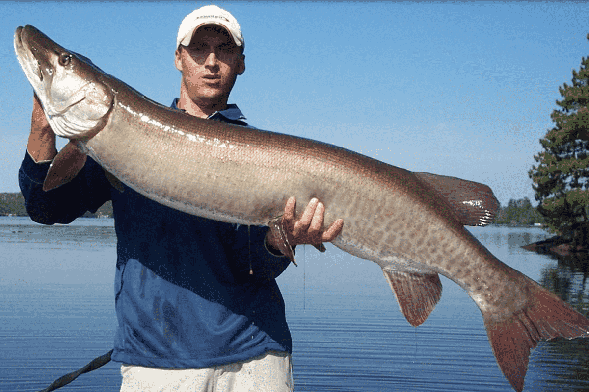 Lake Vermilion Resort MidWest Outdoors