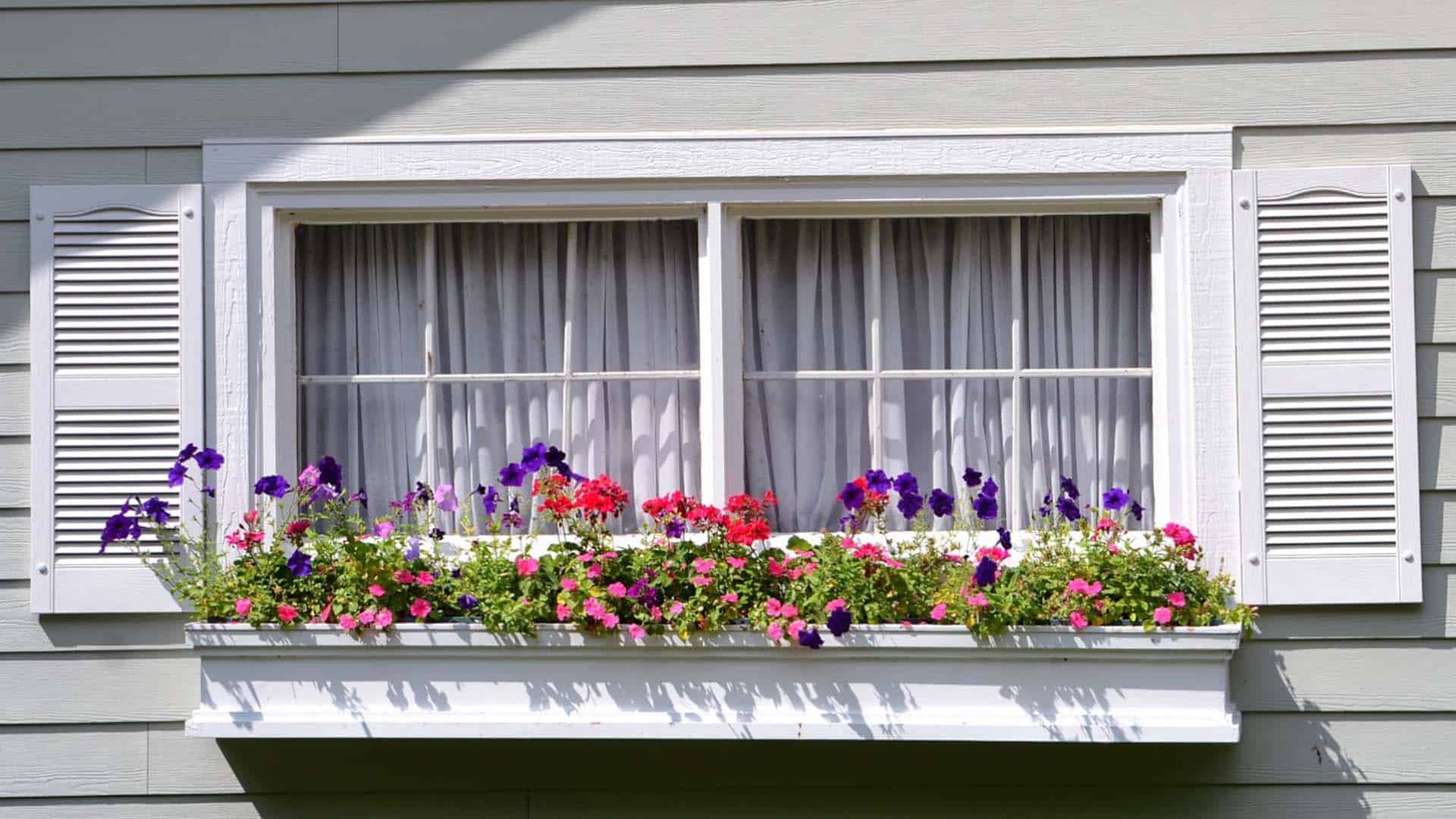 Services Midwest Roof & Solar