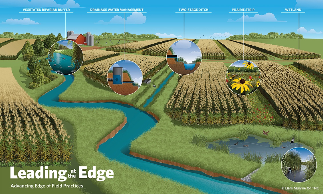 Edge of Field practices can help food and ag companies meet