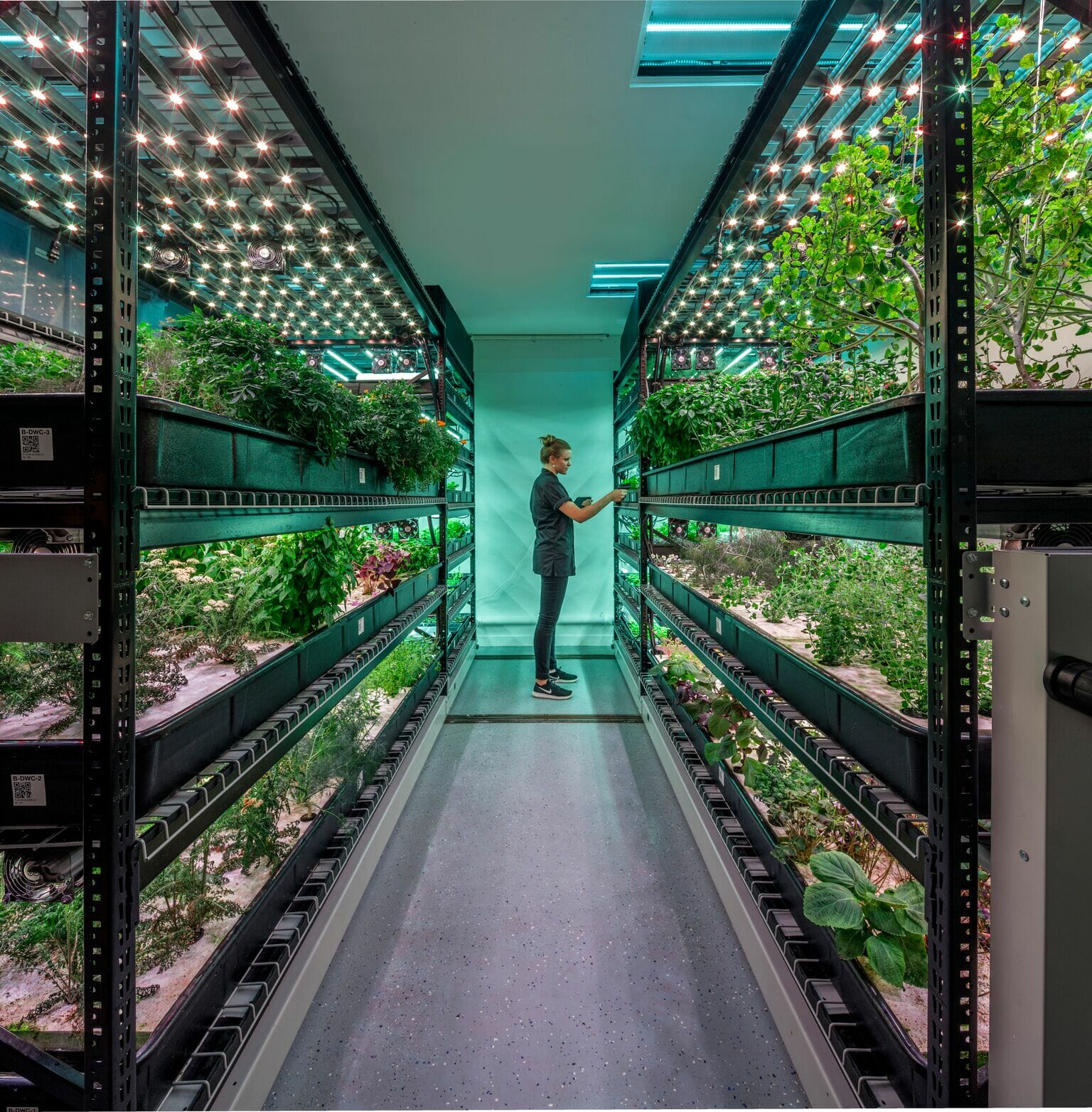 How to Start Your Own Greenhouse