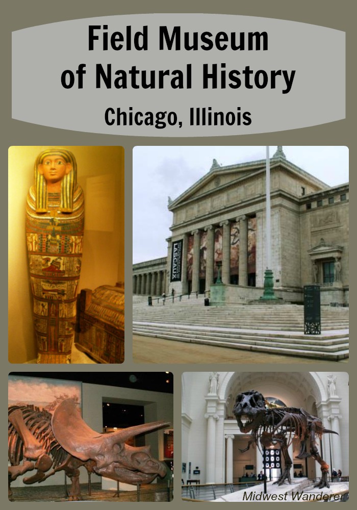 Have You Been to Chicago’s Field Museum Lately? Midwest Wanderer