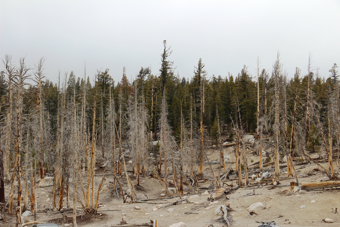 Mammoth Lakes in the Off Season Midwest Wanderer