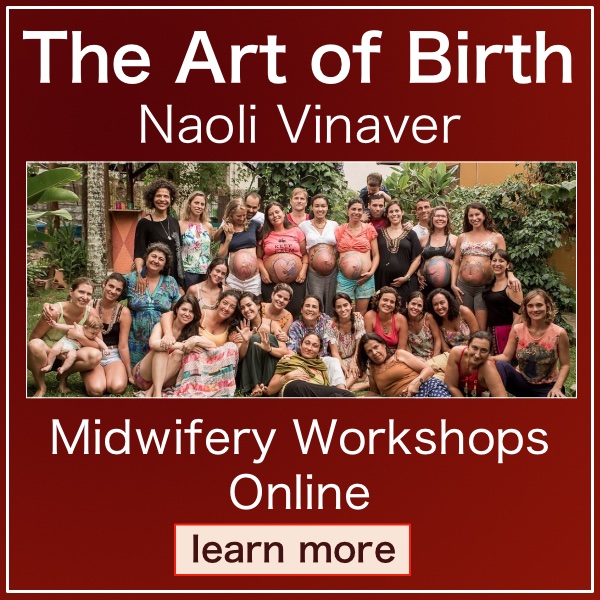 Midwifery Workshops Online