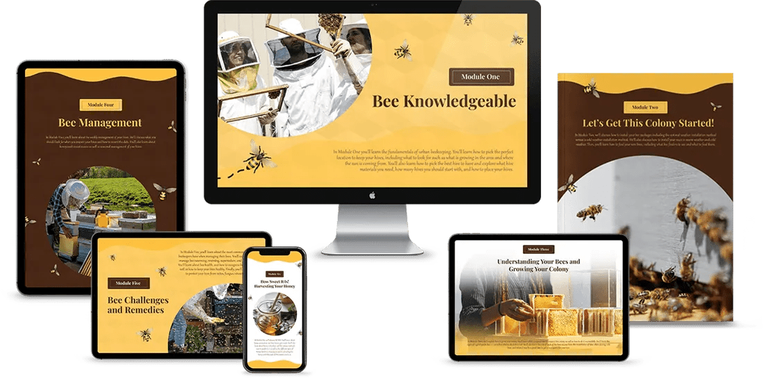 Urban Beekeeping Miel Duluth