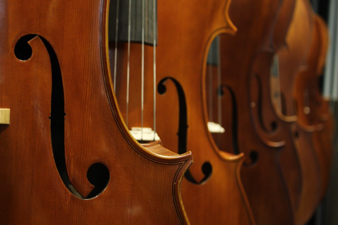 What to Know Before Buying Your First Violin MiFa Music and Art