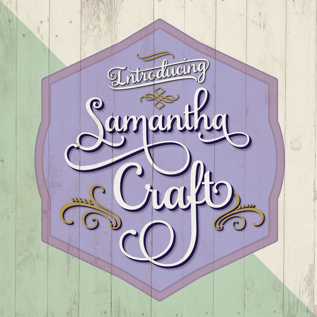 Beautiful Samantha Script Font only 17! MightyDeals