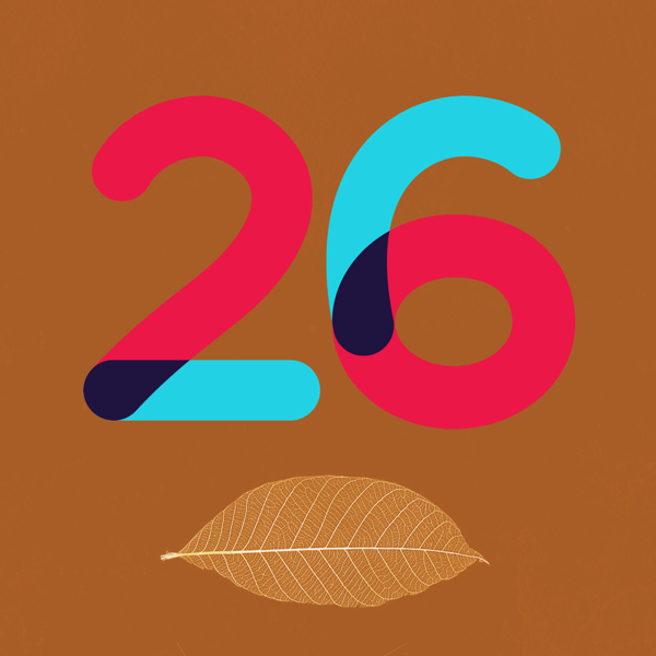 Multicolore Pro Font  1001 Fonts