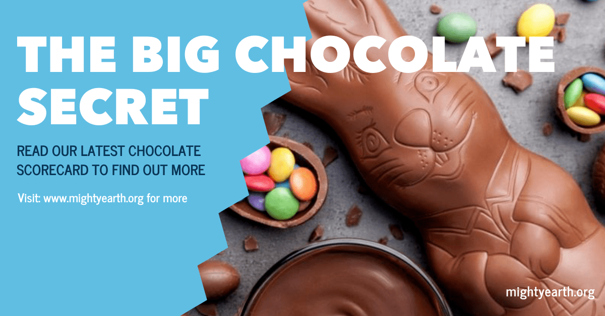 Easter Scorecard Chocolate Companies Earn "Rotten" & "Good" Eggs for