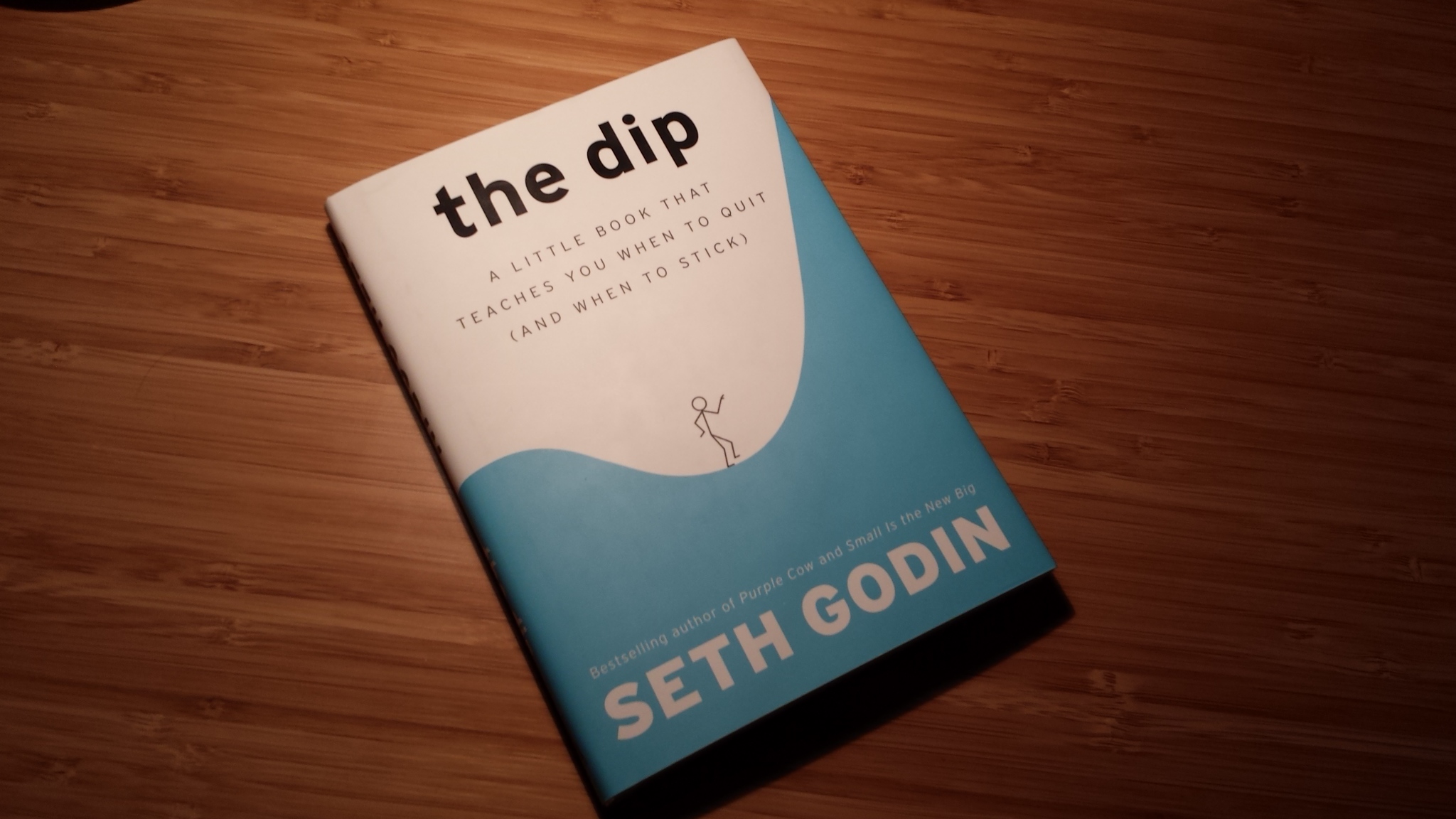 Book Review The Dip Mighty Introvert