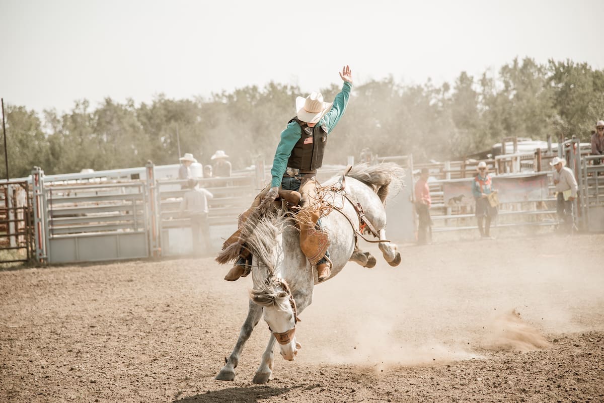 Waterhole Rodeo Mighty Peace Tourism