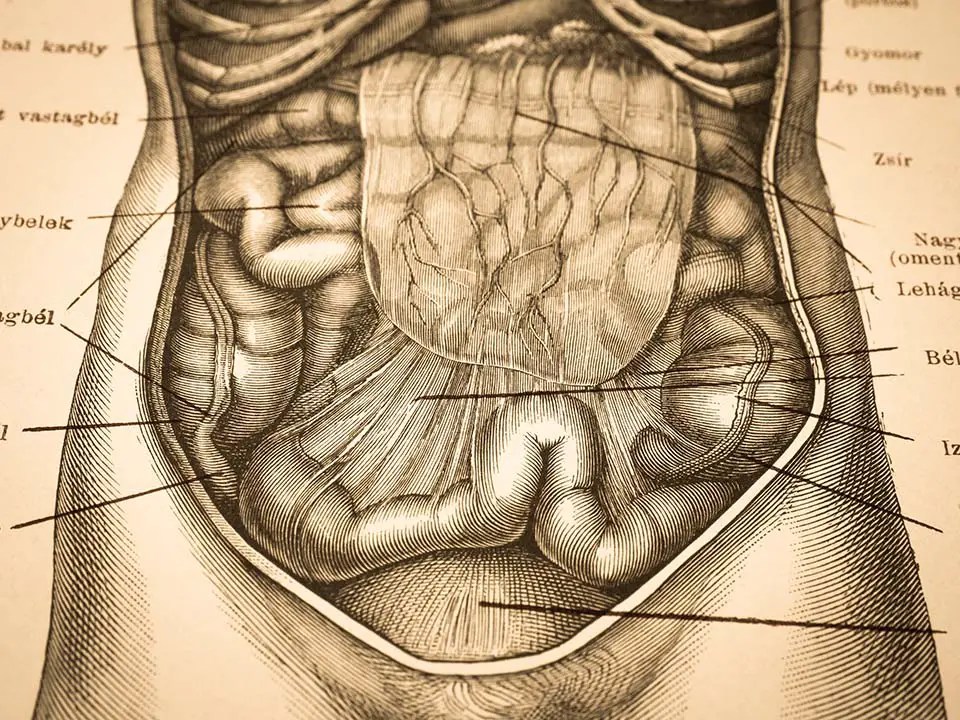 How Much Does An Autopsy Cost In 2022? [PRCE STATS] Pricing And Cost Data