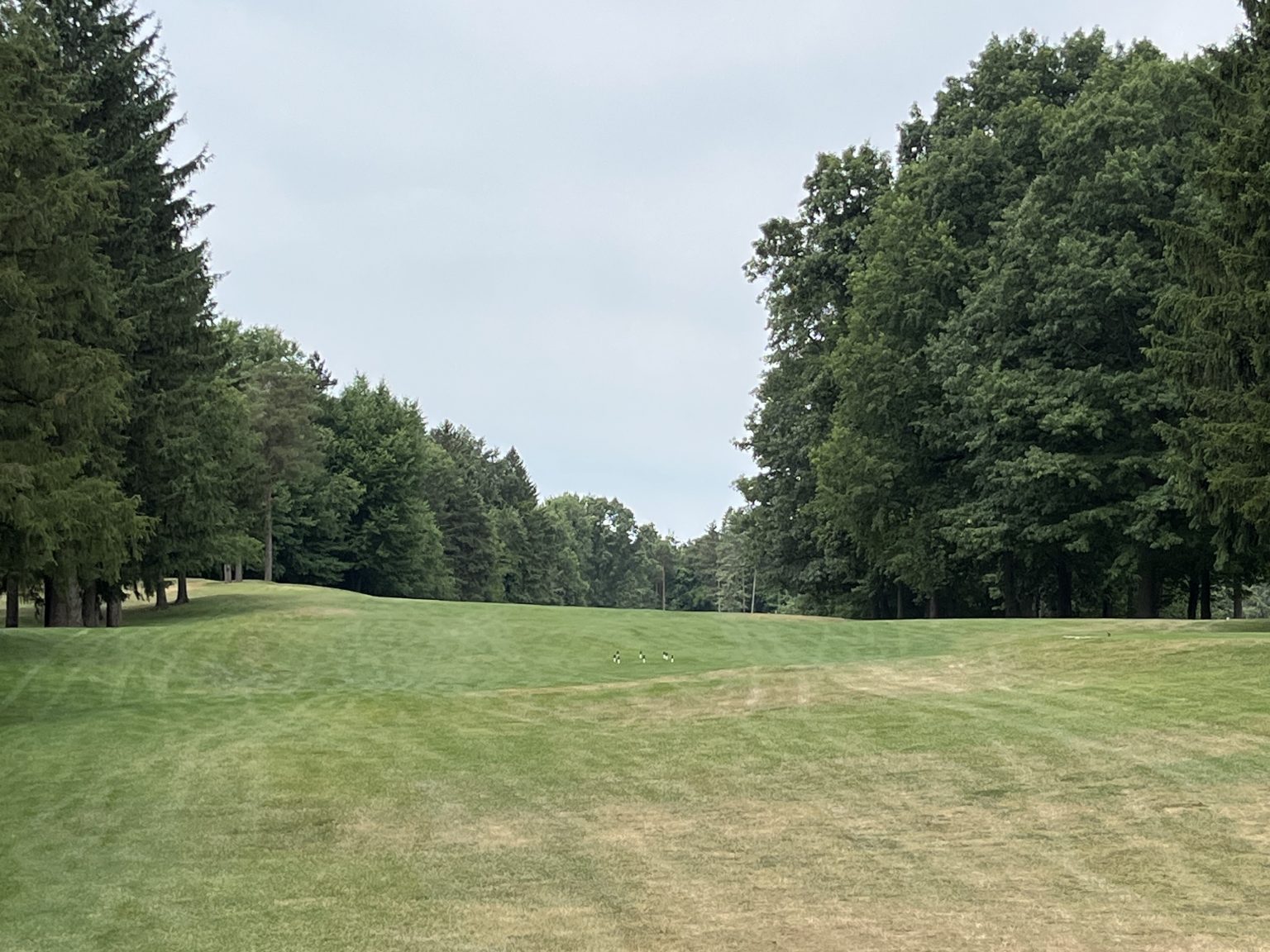 Timber Ridge Golf Course Michigan Golf Matrix