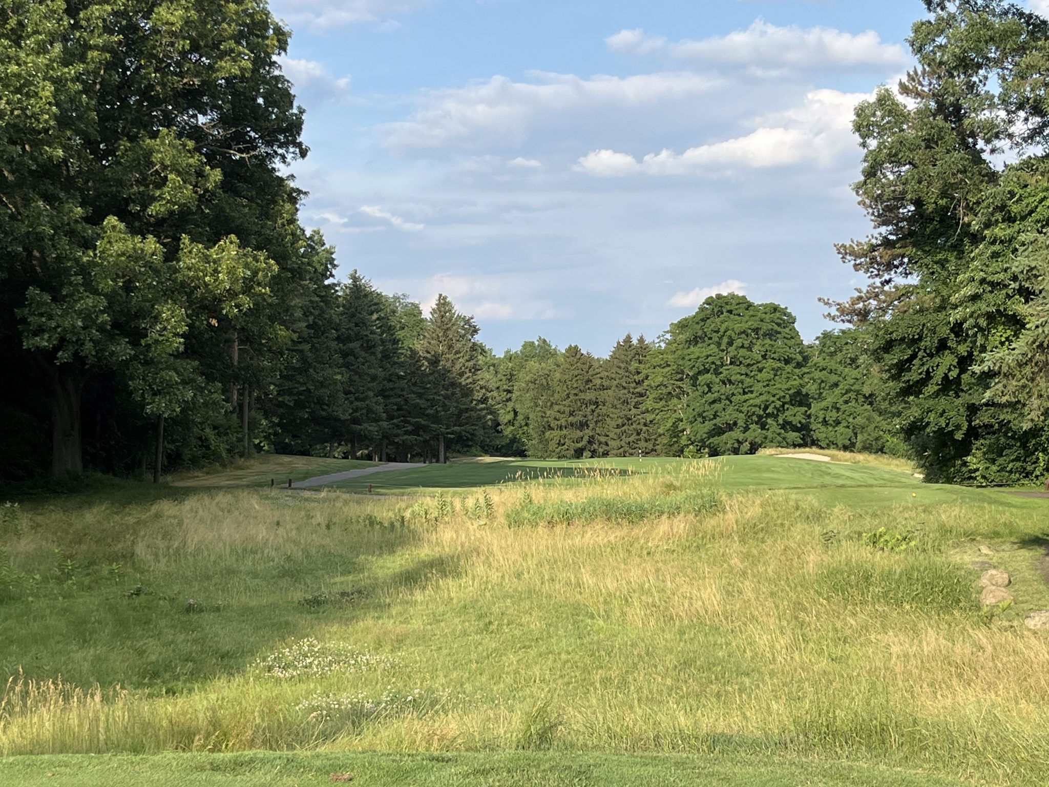 Timber Ridge Golf Course Michigan Golf Matrix