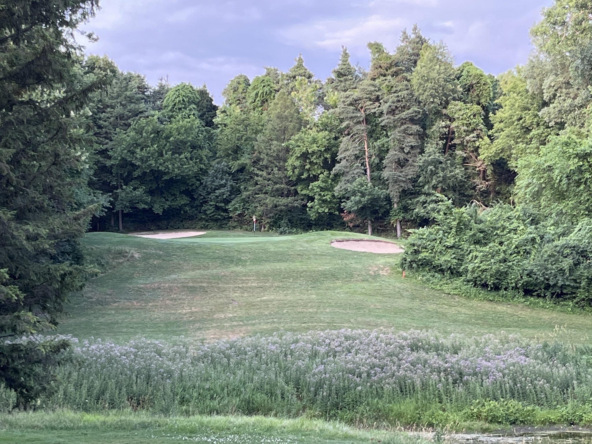 Timber Ridge Golf Course Michigan Golf Matrix