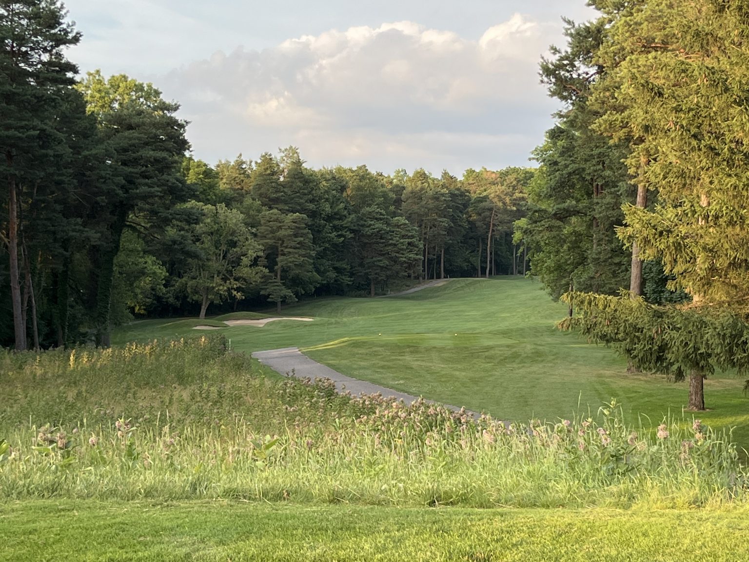 Timber Ridge Golf Course Michigan Golf Matrix