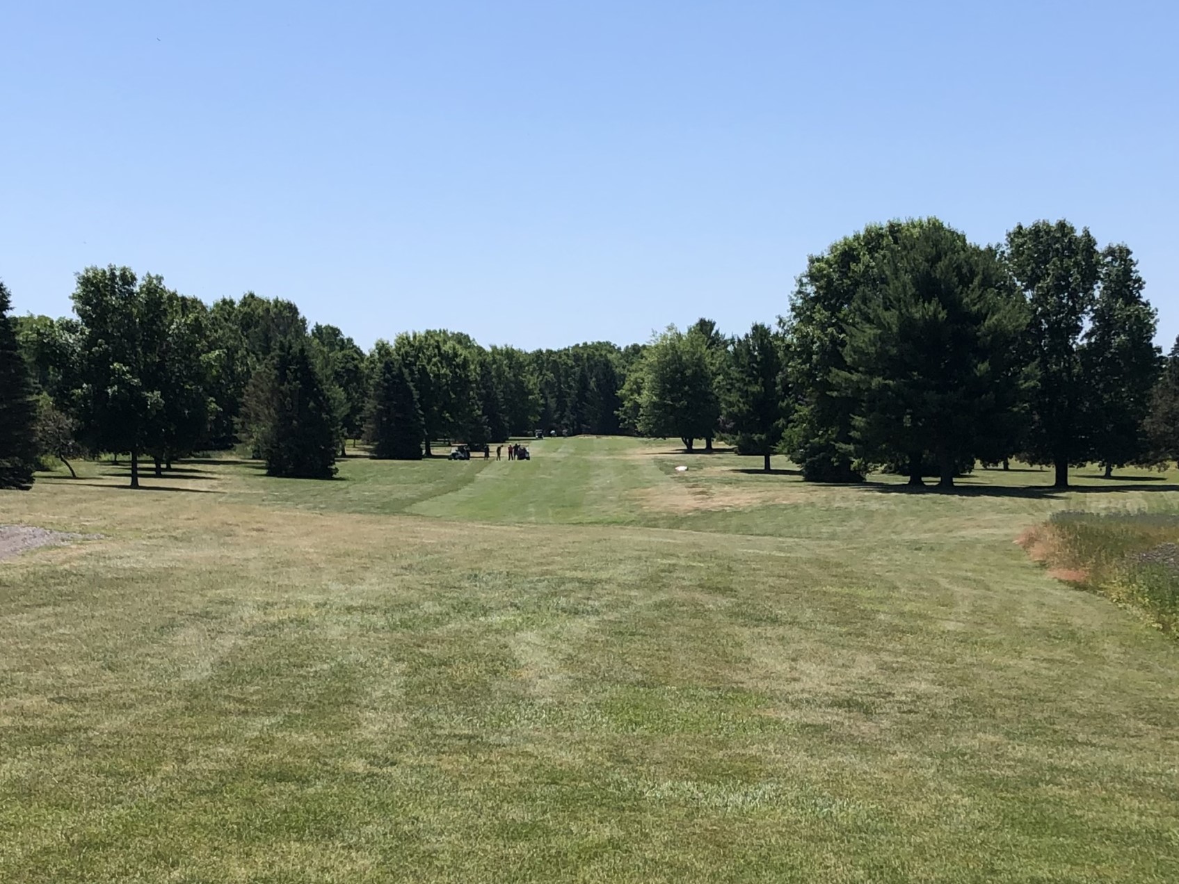 Hawk Meadows Golf Club Michigan Golf Matrix