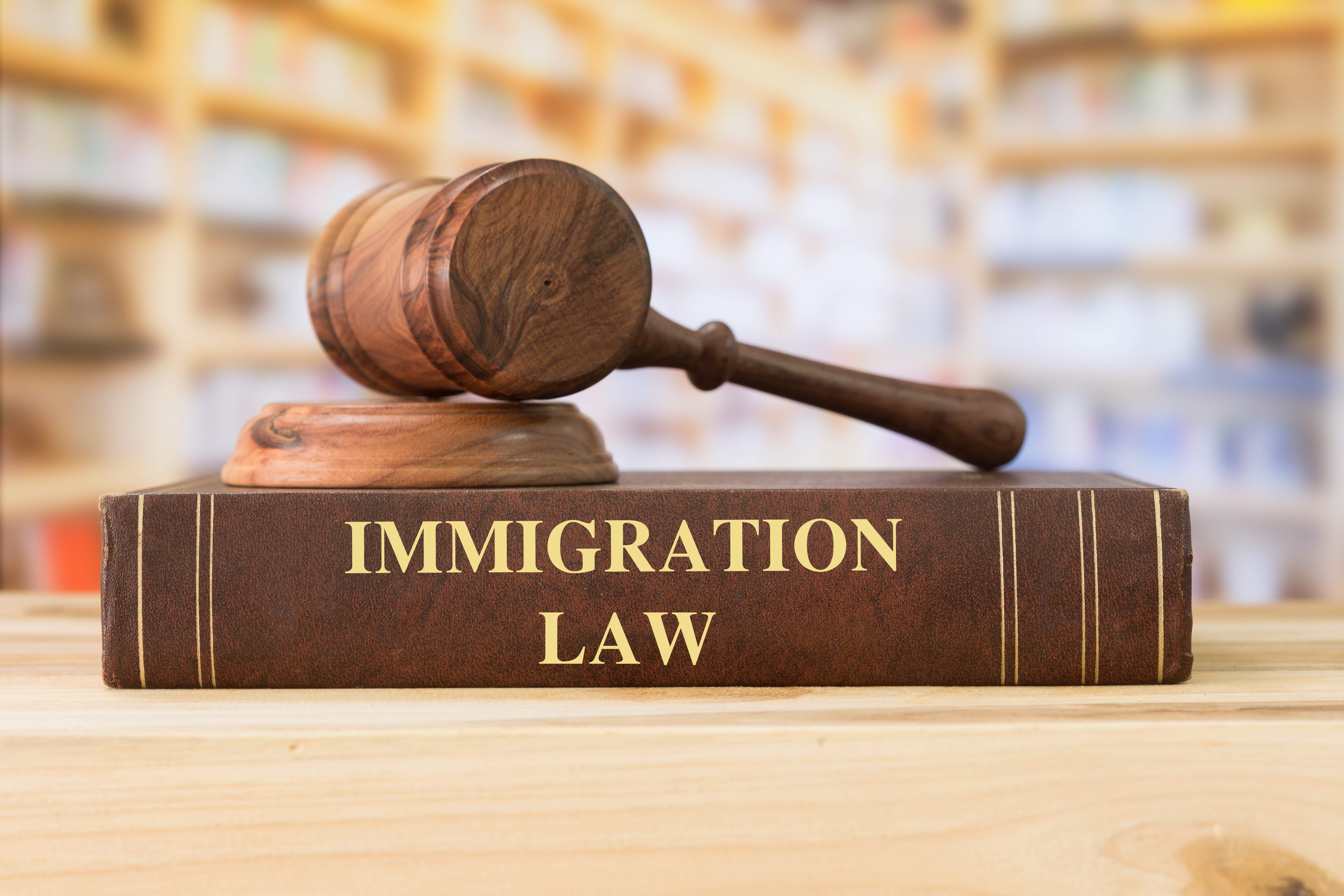 Maritime Crew Visa new form Migration Law Updates
