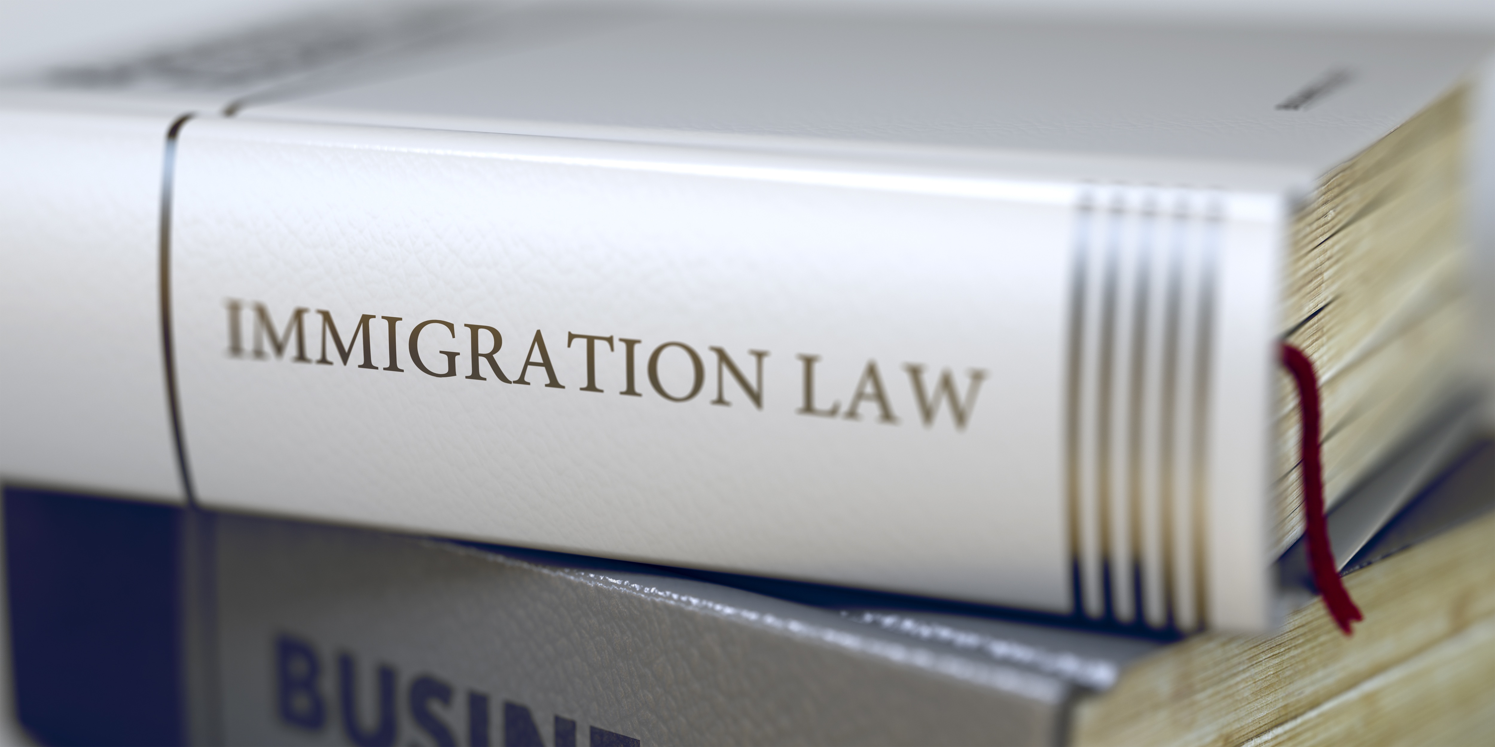 Giving immigration assistance without registration Migration Law Updates