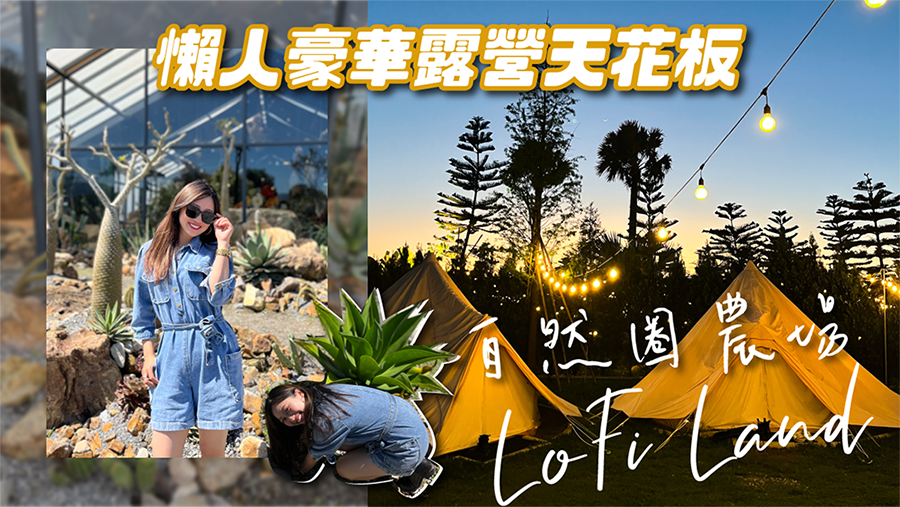 苗栗自然圈農場LoFi Land 農場摘菜自己料理 懶人豪華露營天花板
