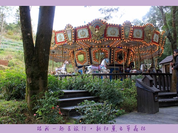 台中》新社薰衣草森林：情侶＆好姐妹一定要去一次的幸福森林