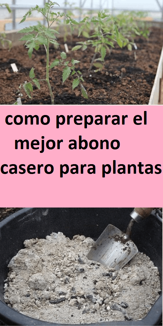 como preparar el mejor abono casero para plantas Mijardinycasa