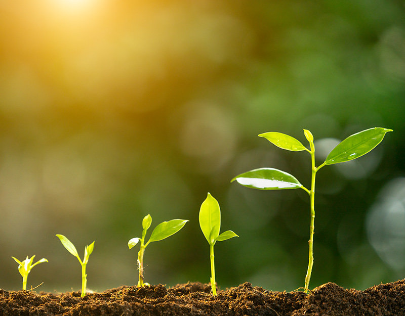 Secrets of Sand Hill Road Les secrets de l'investissement Venture