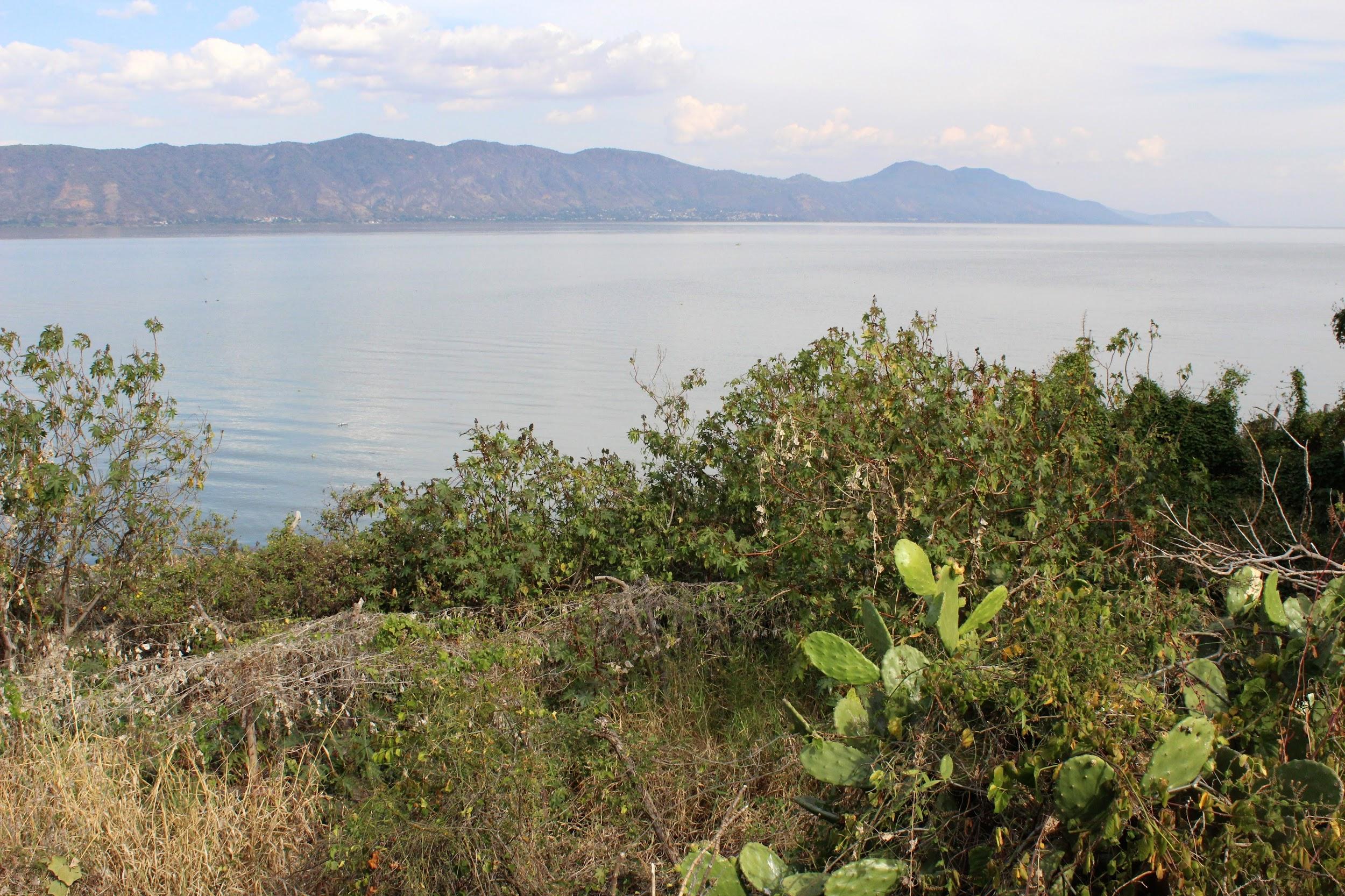 Lake Chapala, Where Expats, Pelicans and the Dead Are Neighbours Mike