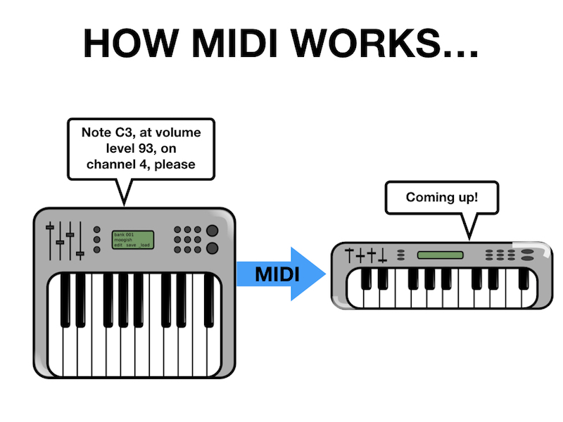 Midi Meaning Dutch at Jason Myers blog