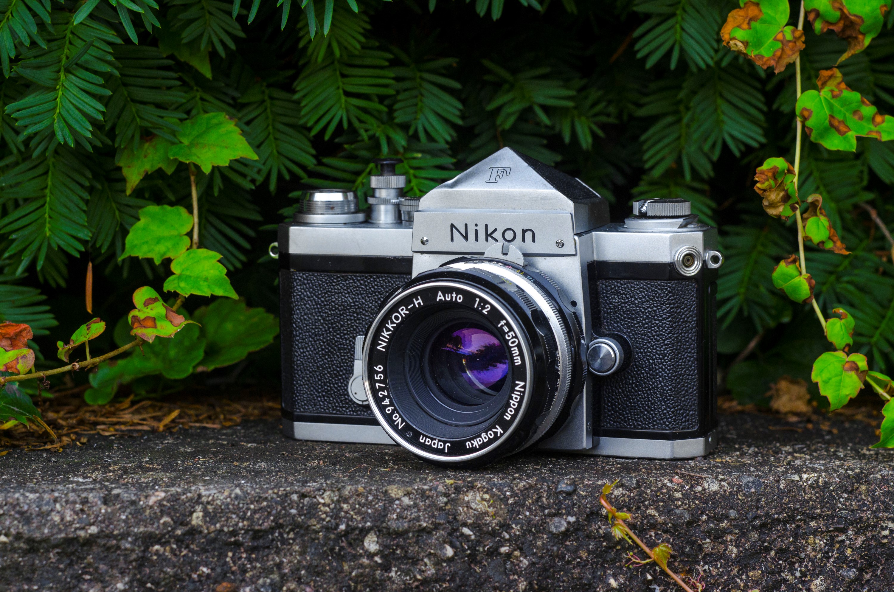 らくらくメ Nikon F BcSRwm20449098844 しませんの