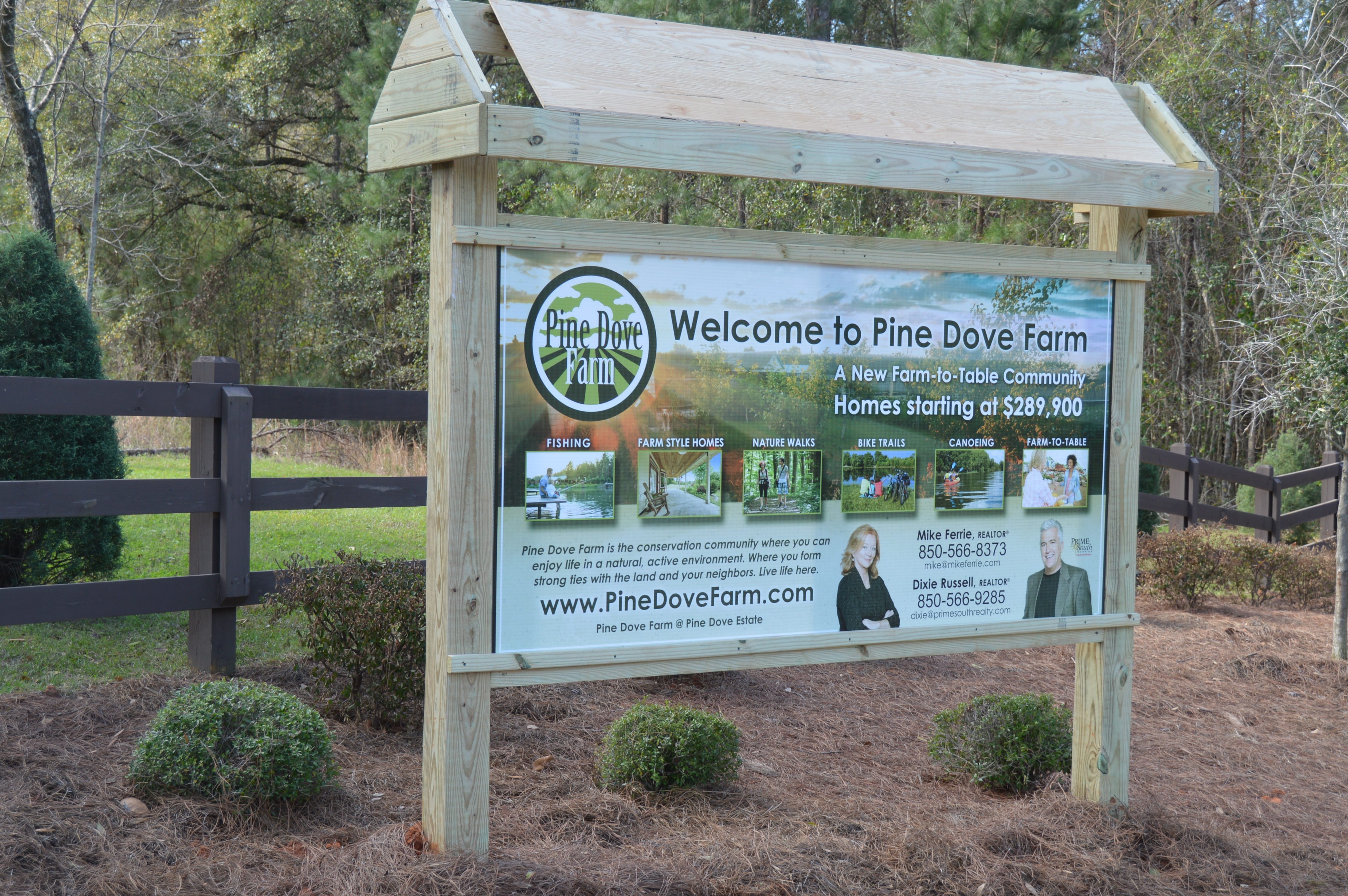 Pine Dove Farm North Florida’s First Agrihood story from Tallahassee