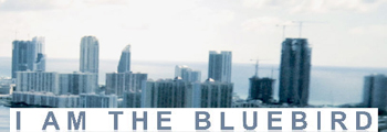 I Am The Bluebird