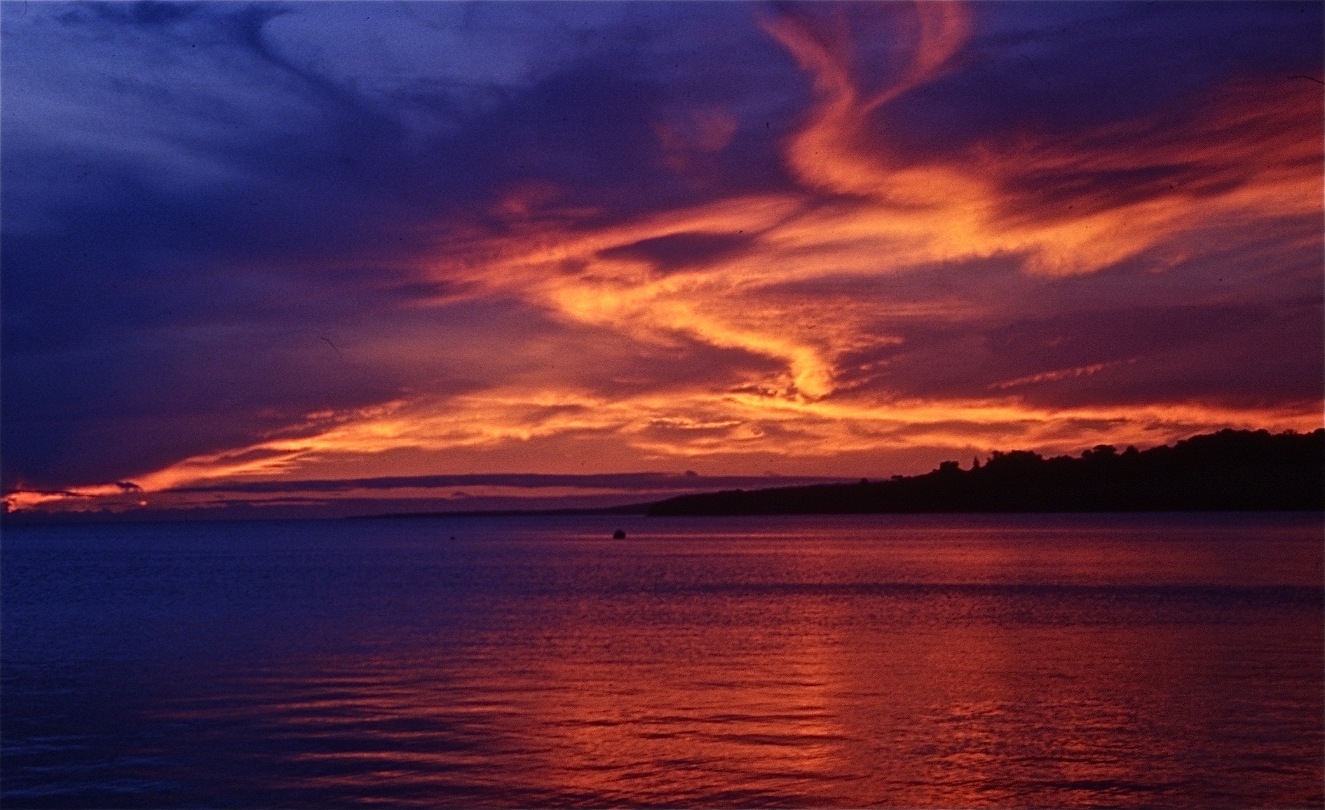 The Lotus Eaters Mike Jay