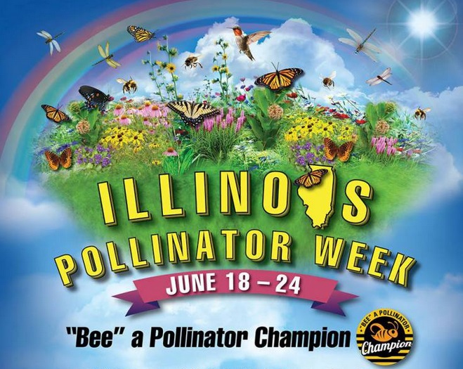 Live from Custer Fair in Evanston The Mike Nowak Show with Peggy Malecki