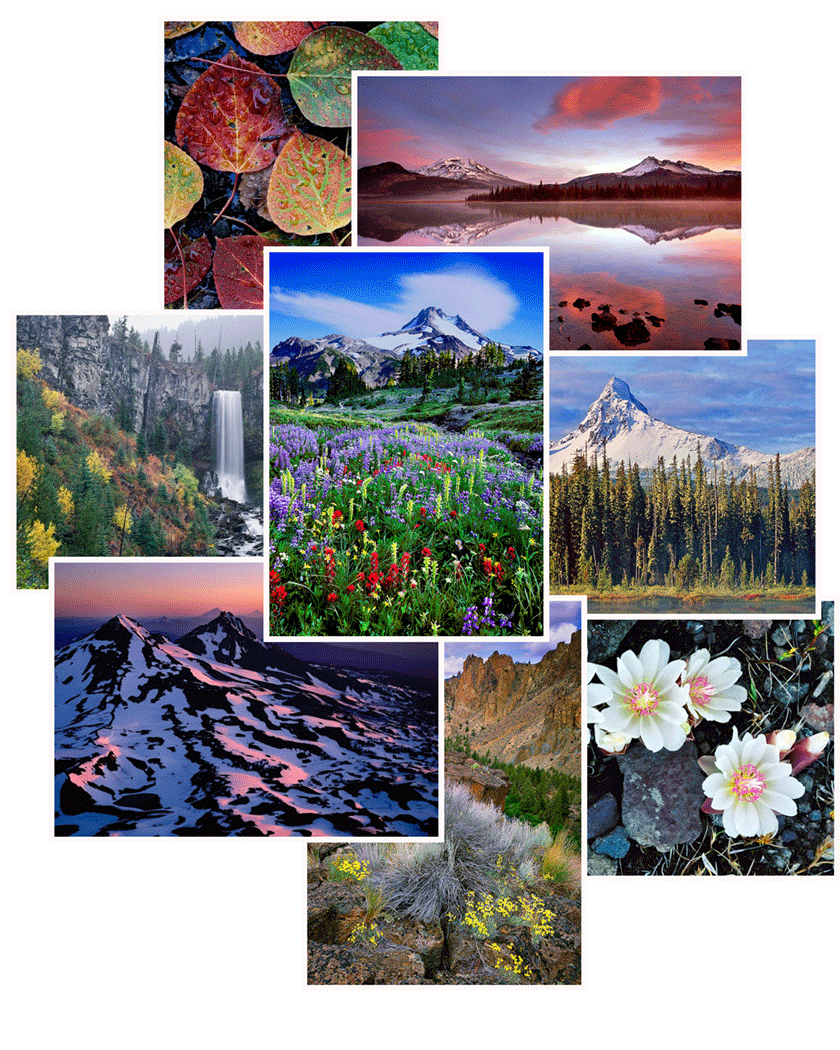 Black Butte Greeting Cards(8 Pack) Mike Putnam Photography