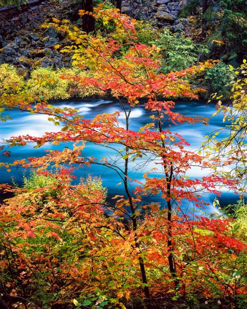 Top 10 Fall color Hikes in Bend, Oregon! Mike Putnam Photography