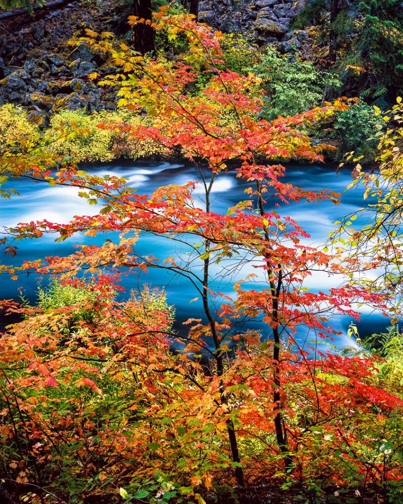 Top 10 Fall color Hikes in Bend, Oregon! Mike Putnam Photography