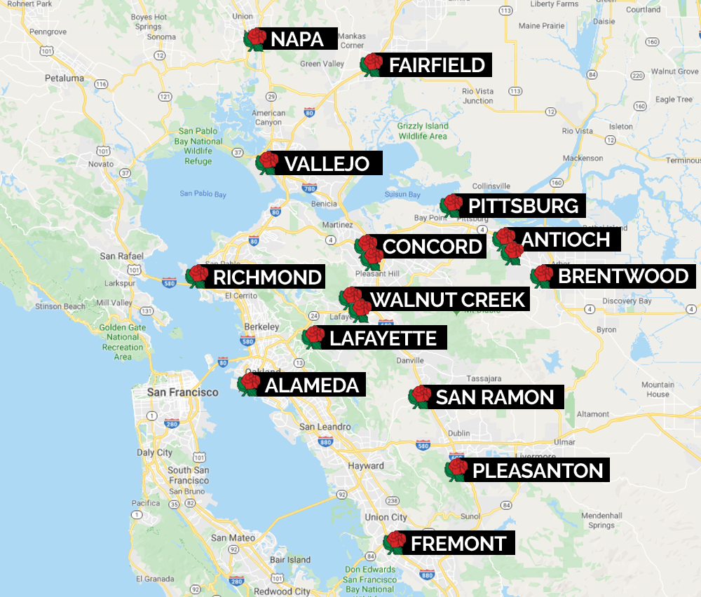 Mike's Auto Body 17 Bay Area Locations