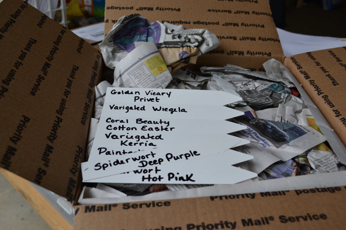 How to Ship Plants by U.S. Mail, UPS or Fed Ex. Mike's Backyard Nursery