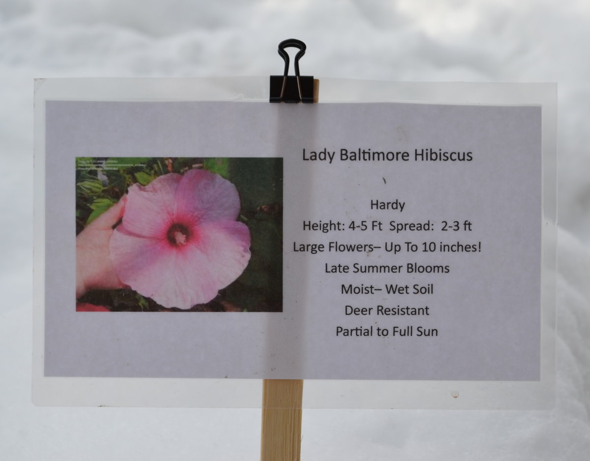 Use this valid 50% off 1800 flowers free shipping today. A Tip for Selling the Plants that You Grow.