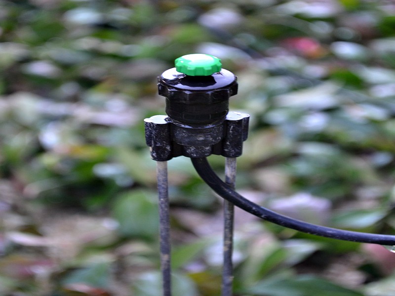 Flat Head Spray Nozzles for Plant Propagation.