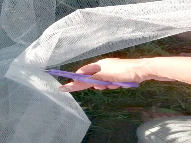 DIY Fruit Tree Netting