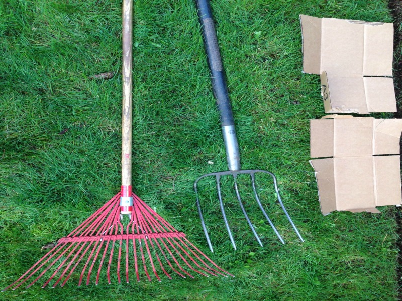 How to Kill Bermuda Grass Organically