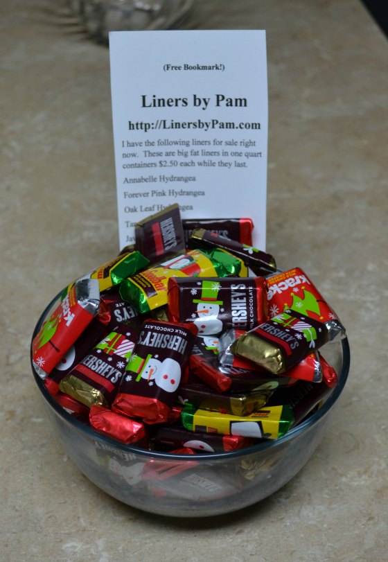 The Magic Candy Dish