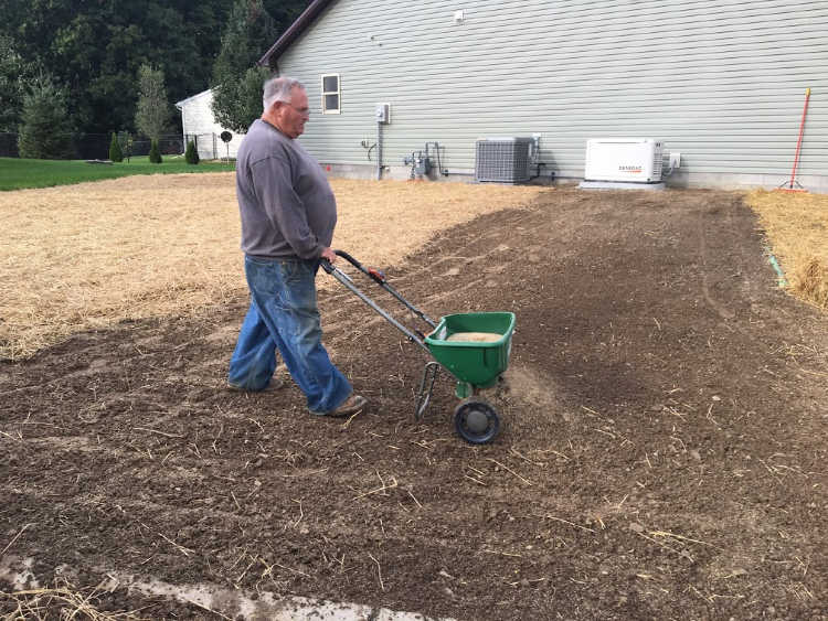 Preparing a Lawn for the Planting of Grass Seed. LaptrinhX / News