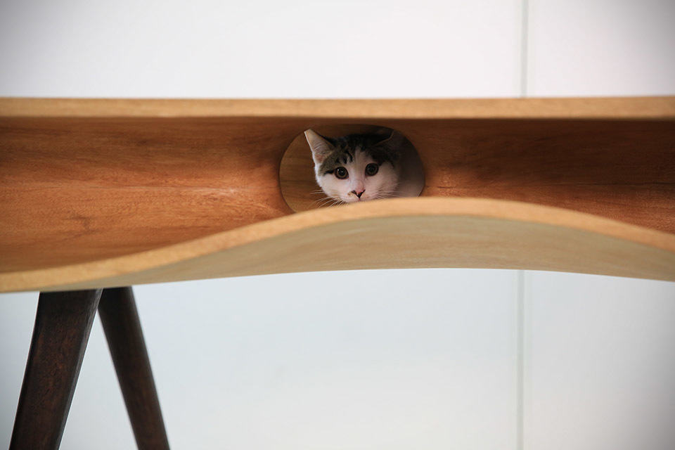 CATable Finally, A Table For Both Humans And Cats